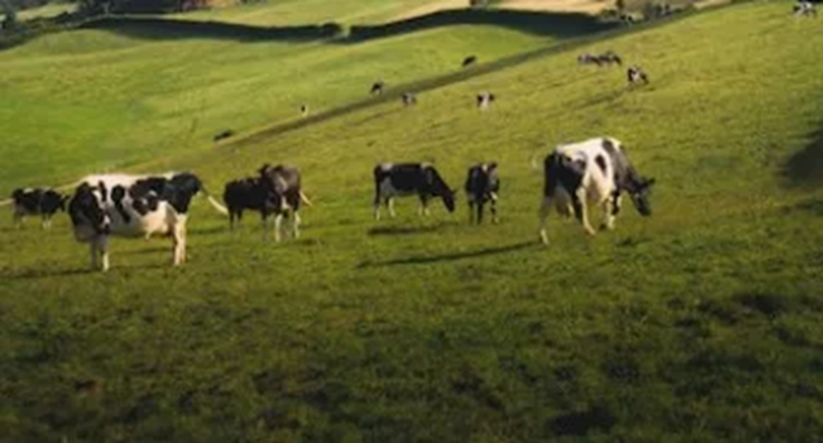 Alimentación y Cambio Climático