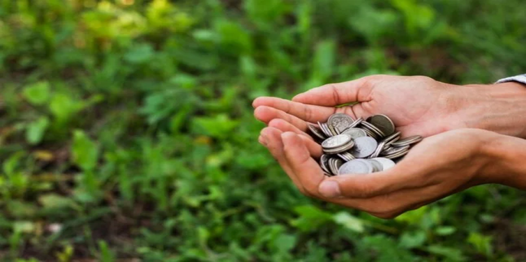 Instrumentos Económicos en Materia Ambiental